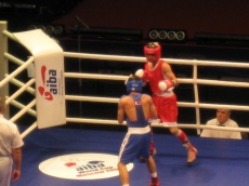 2008 AIBA World Cup Boxing II, Moscow